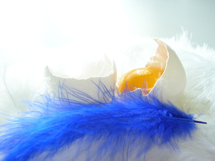 Photographie par Jethrolutt pour DesignCrowd (Community Contests) | Design #9094625