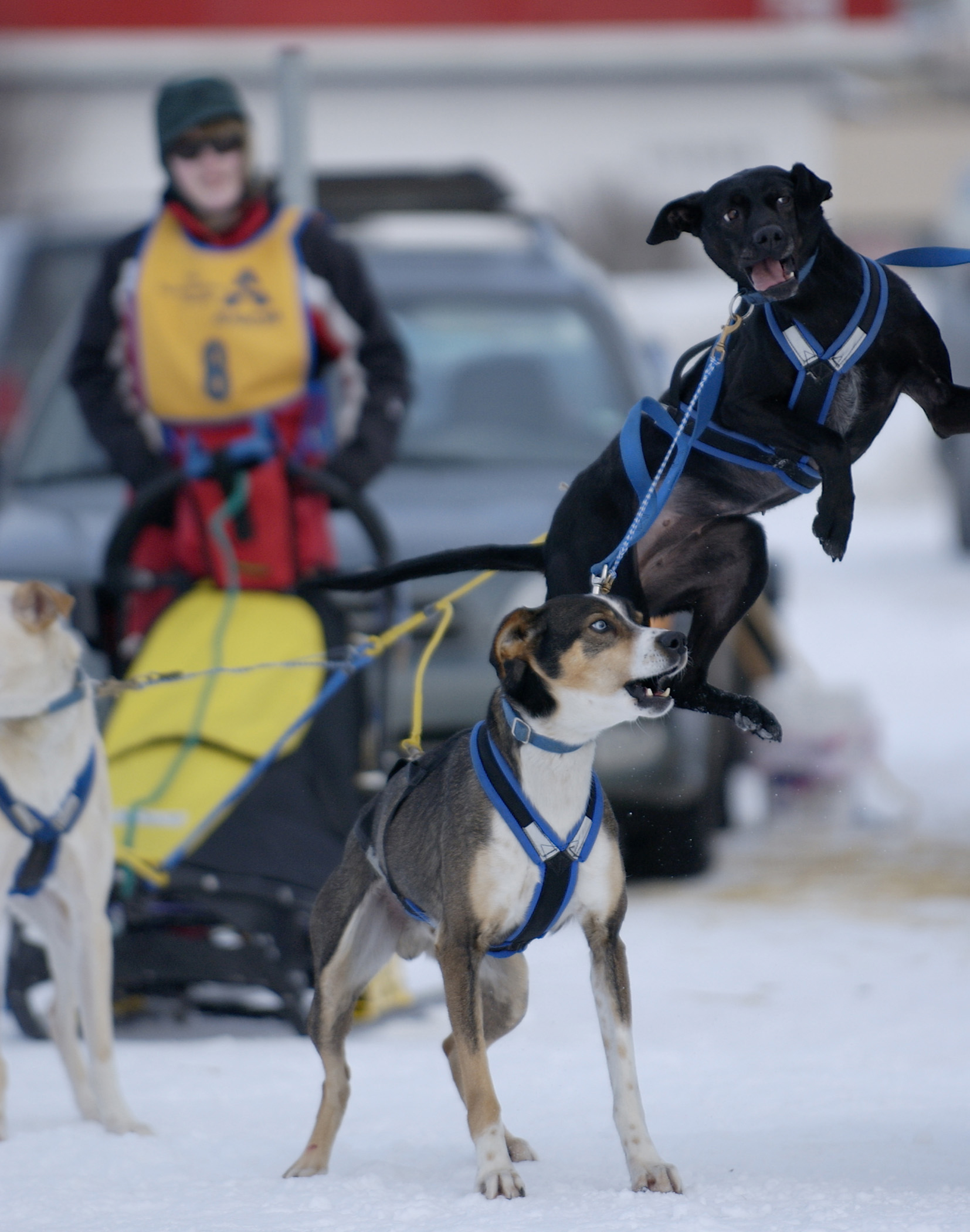 Photography by CheckMinus for DesignCrowd (Community Contests) | Design #9095671