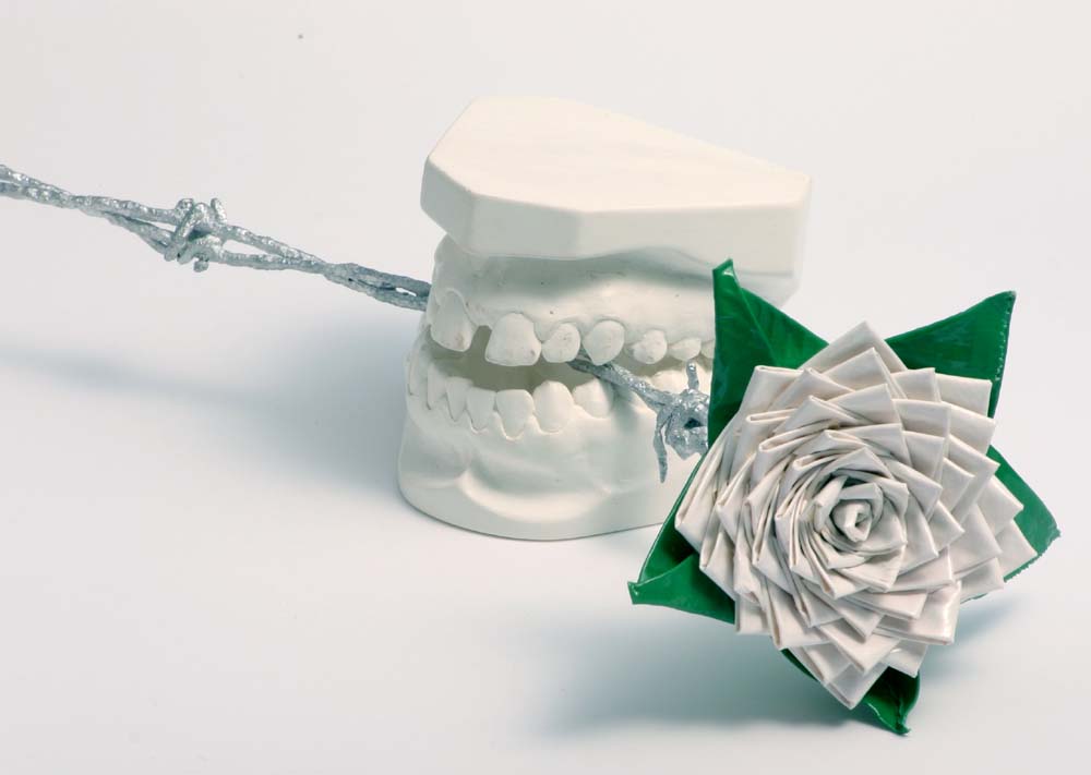 Fotografie von bozosafari für DesignCrowd (Community Contests) | Design #9094637