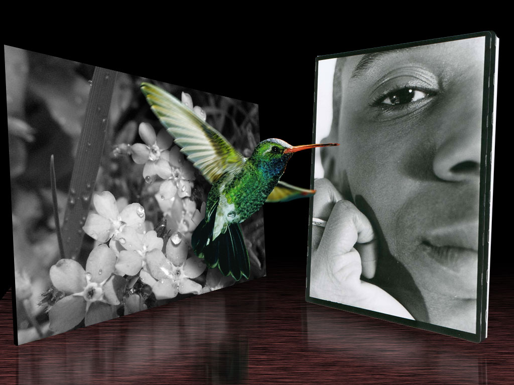 Photoshop Design by Trueblood for DesignCrowd (Community Contests) | Design #9093144