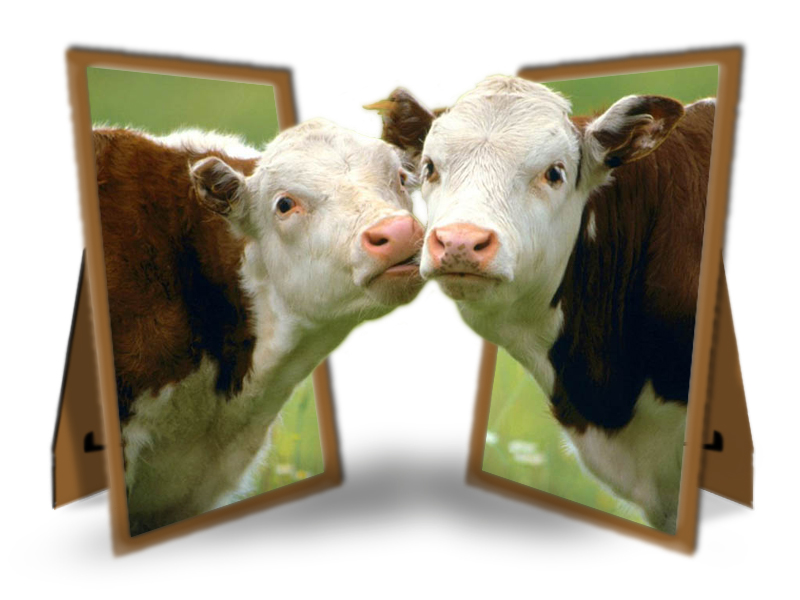 Diseño de Photoshop por ootjuh para DesignCrowd (Community Contests) | Diseño #9093160