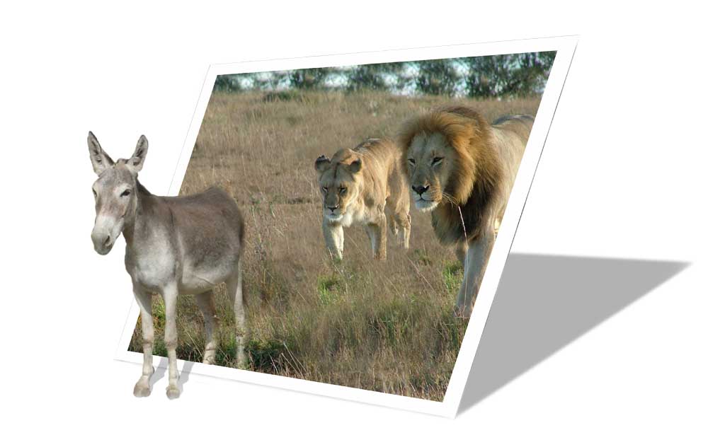 Photoshop Design by hermessz for DesignCrowd (Community Contests) | Design #9093240