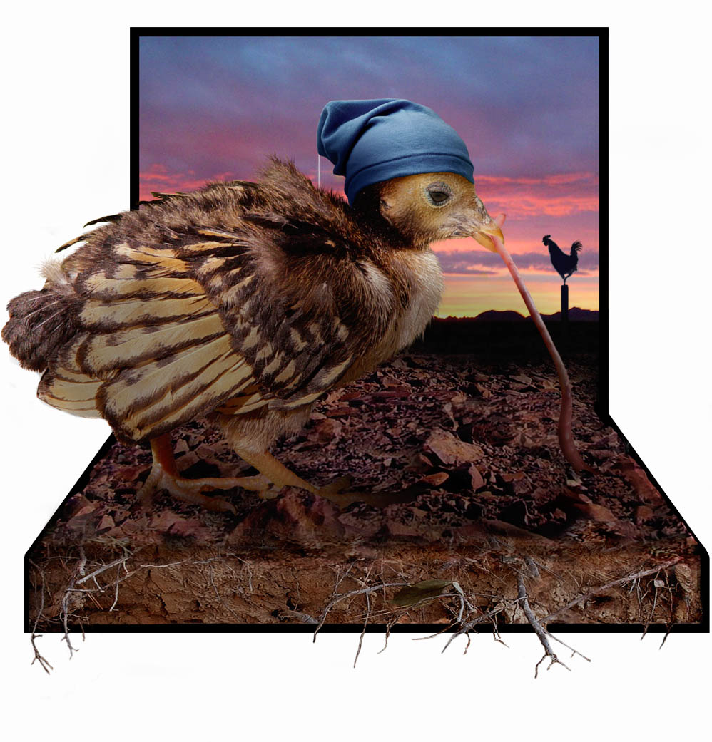 Photoshop Design by Norrit for DesignCrowd (Community Contests) | Design #9093217