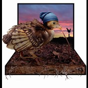 Photoshop Design by Norrit