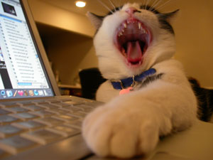 Fotografía por Crystal211 para DesignCrowd (Community Contests) | Diseño #9095720