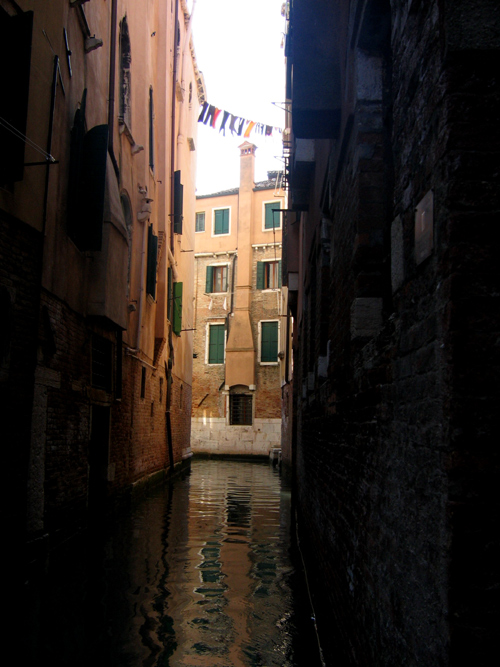 Photography by Hibbehop for DesignCrowd (Community Contests) | Design #9096492
