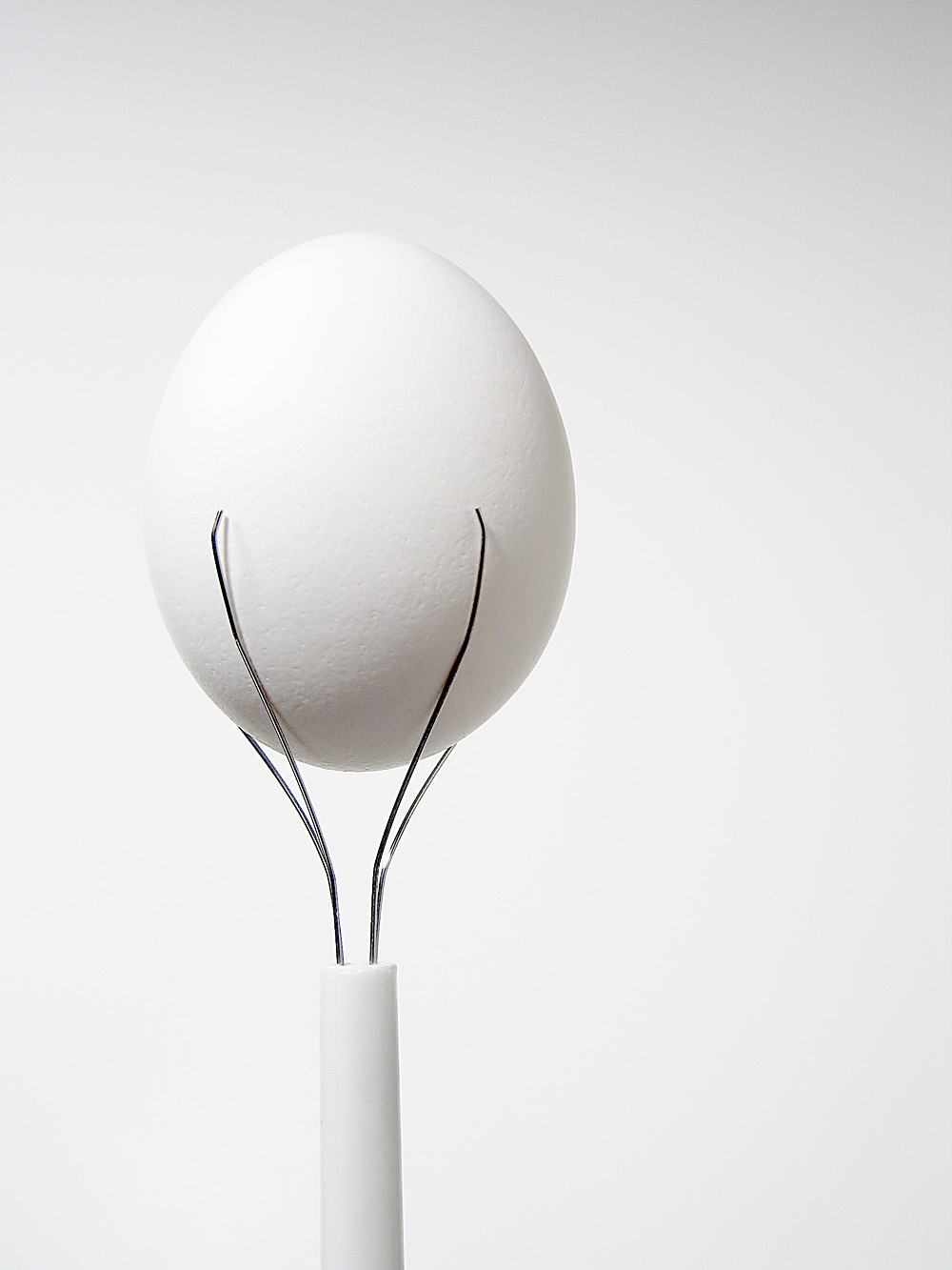 Photography by DFragXD for DesignCrowd (Community Contests) | Design #9094670