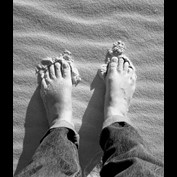 Photography by donnaleigh