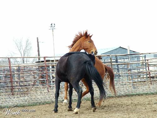 Photography by mmc9496 for DesignCrowd (Community Contests) | Design #9095721