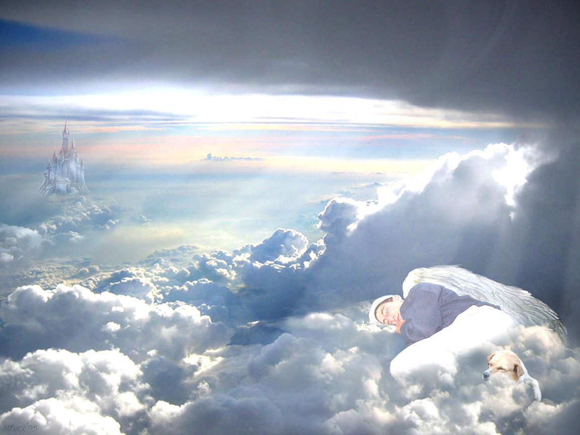 Photoshop Design by velcronius for DesignCrowd (Community Contests) | Design #9092508