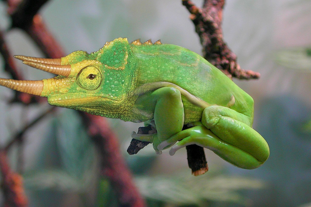 Diseño de Photoshop por akatatsu para DesignCrowd (Community Contests) | Diseño #9081912