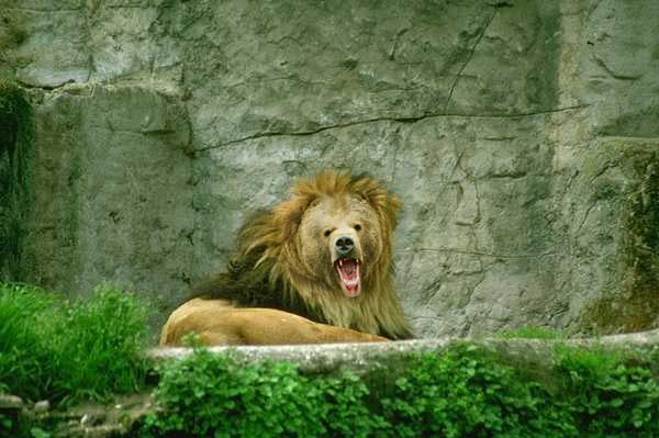 Diseño de Photoshop por sherif1000 para DesignCrowd (Community Contests) | Diseño #9081903