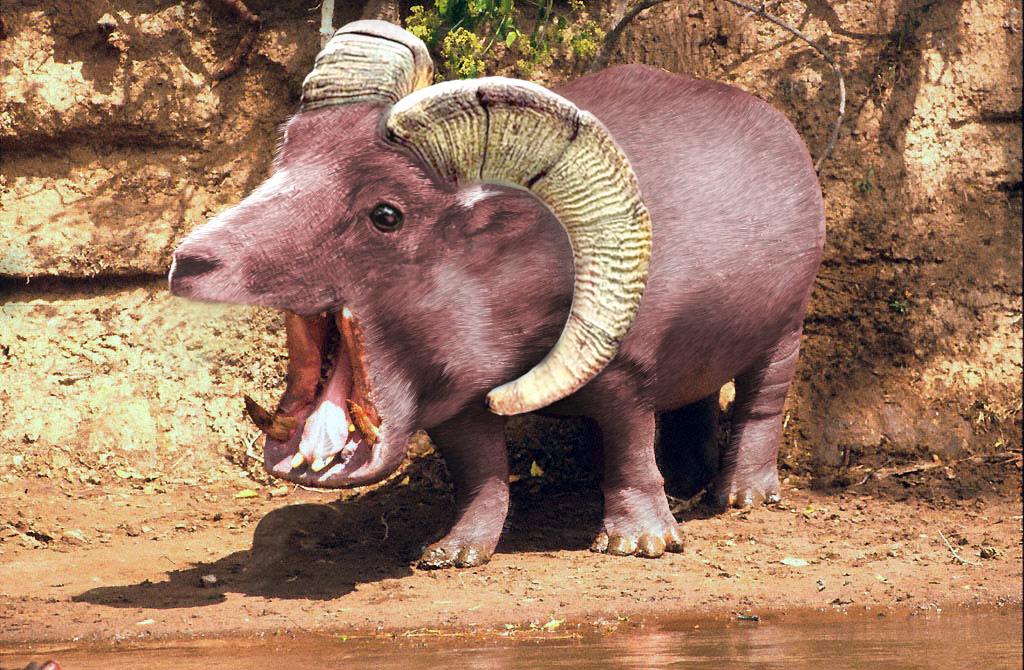 Diseño de Photoshop por Jingjang para DesignCrowd (Community Contests) | Diseño #9081921