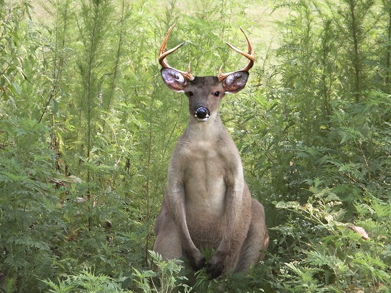 Photoshop Design by JClark8220 for DesignCrowd (Community Contests) | Design #9081947