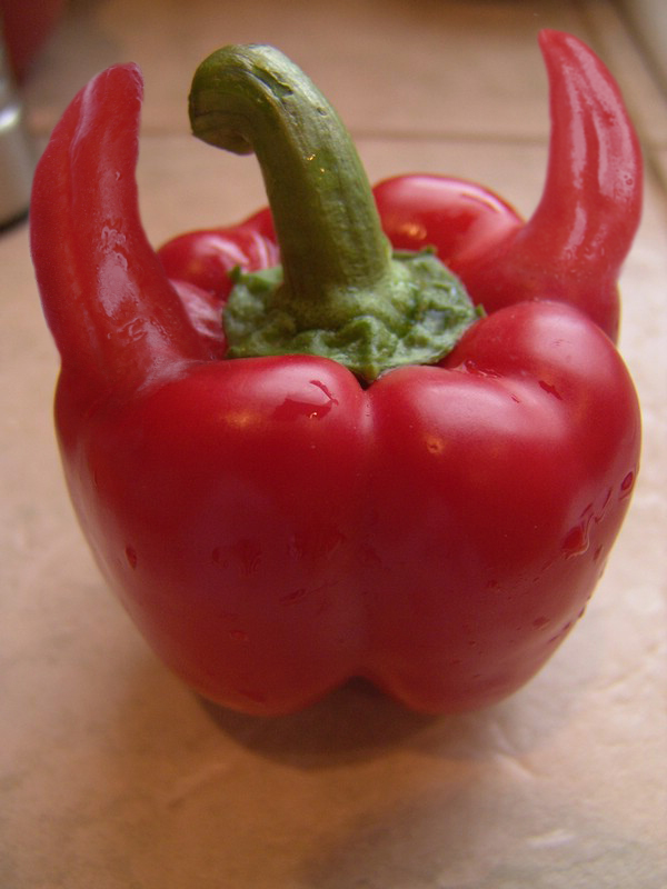 Design Photoshop par Dziedzic pour DesignCrowd (Community Contests) | Design #9092554