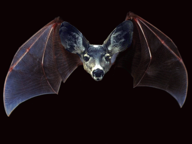 Design Photoshop par matster pour DesignCrowd (Community Contests) | Design #9082000