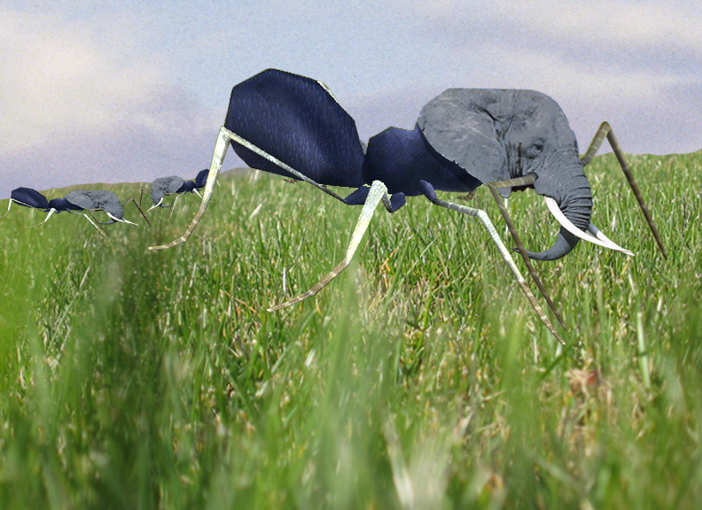 Photoshop Design by PatrickRyan for DesignCrowd (Community Contests) | Design #9082062