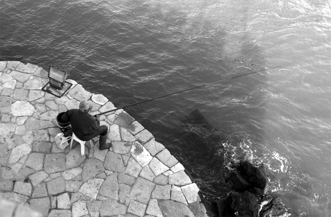 Photography by paparouna for DesignCrowd (Community Contests) | Design #9094280