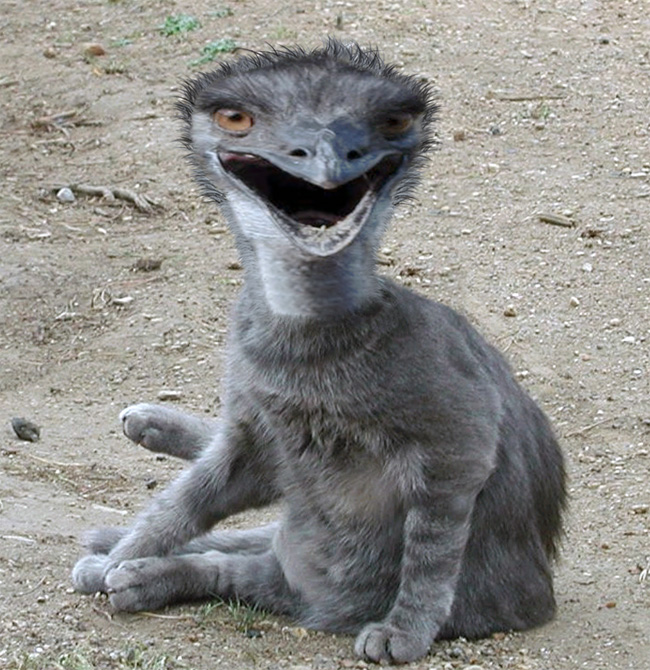 Design Photoshop par motorhead pour DesignCrowd (Community Contests) | Design #9082116