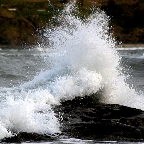 Fotografía por Riot para DesignCrowd (Community Contests) | Diseño #9095773