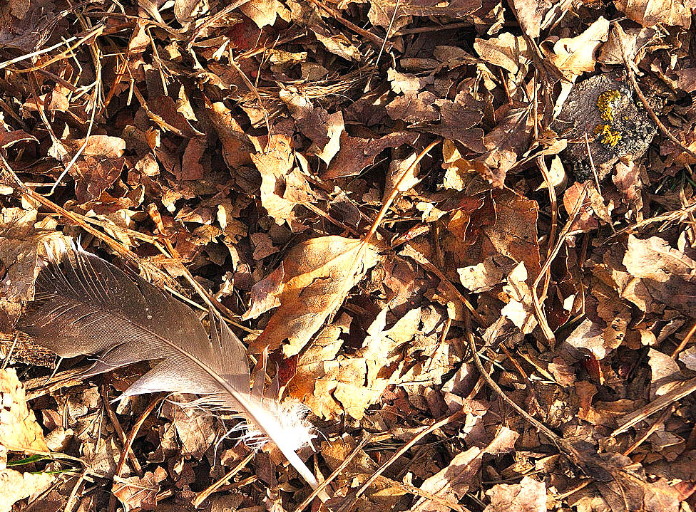 Photography by borbor for DesignCrowd (Community Contests) | Design #9094267