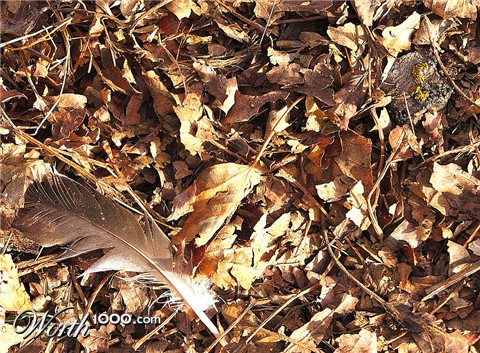 Photography by borbor