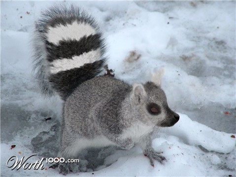 Photoshop Design by WendyChild