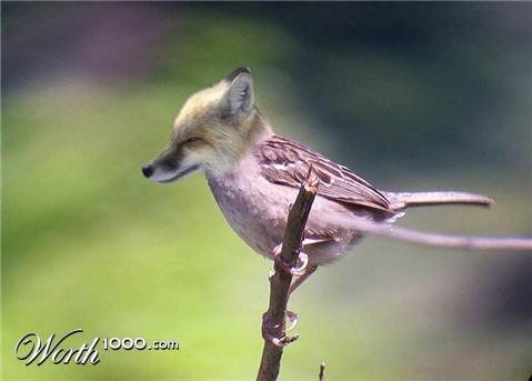 Photoshop Design by PatrickMoore