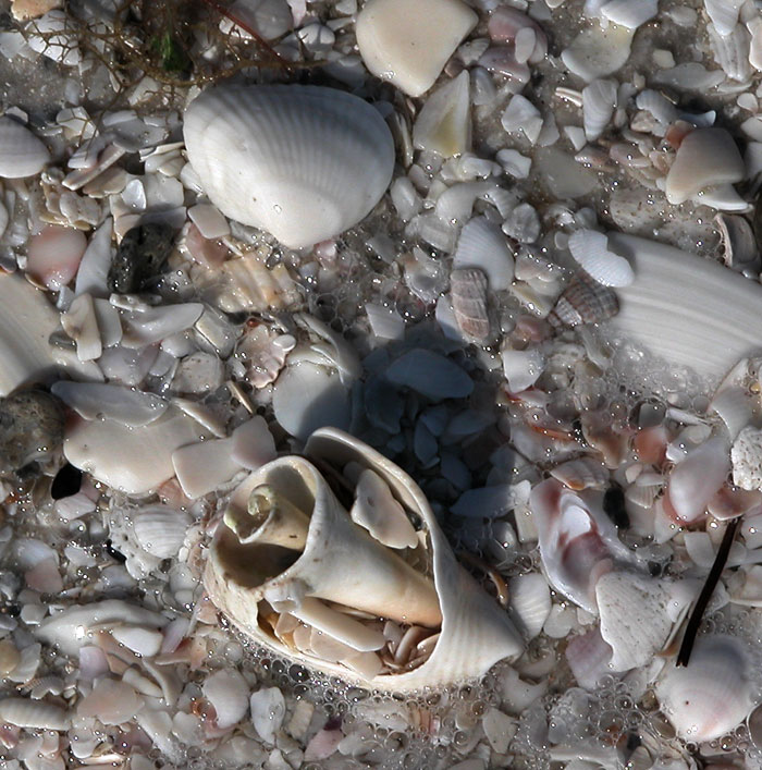 Photography by Jawizza for DesignCrowd (Community Contests) | Design #9094284