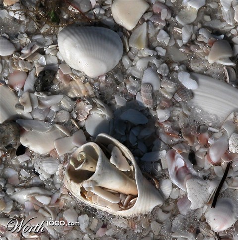 Photography by Jawizza