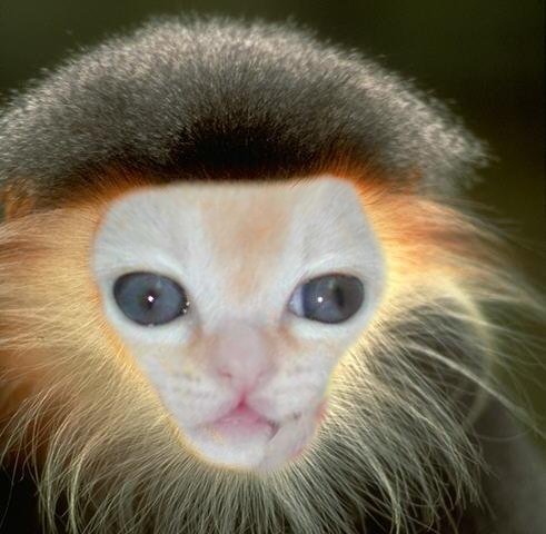 Photoshop Design by ekulsnikta for DesignCrowd (Community Contests) | Design #9082344