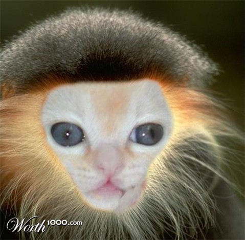 Photoshop Design by ekulsnikta