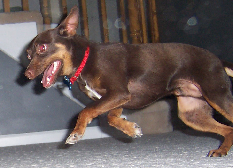 Fotografía por sundive-ken para DesignCrowd (Community Contests) | Diseño #9095778