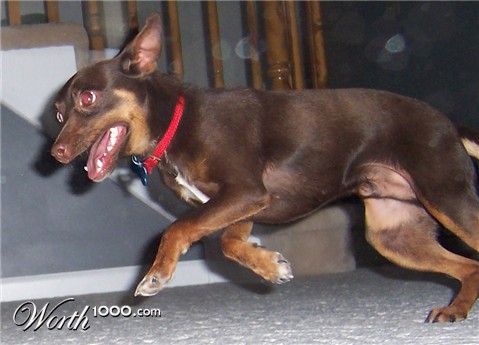 Photography by sundive-ken