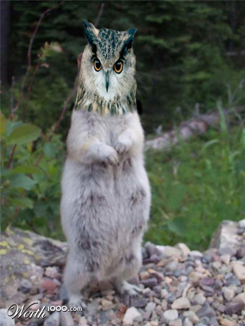 Photoshop Design by dereksurf