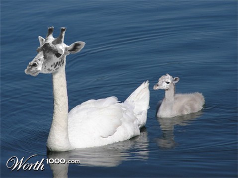 Photoshop Design by Antana