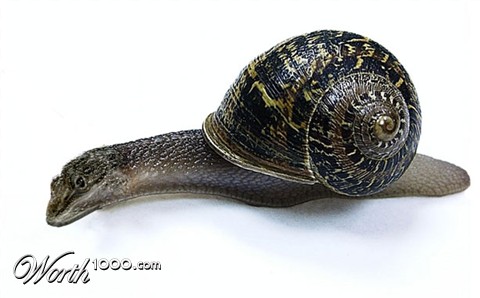 Photoshop Design by absguft