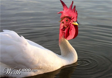 Photoshop Design by rjoannej