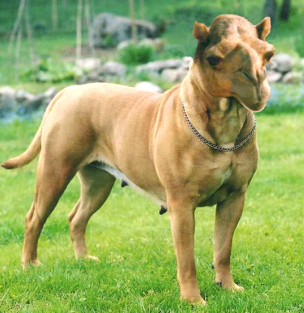 Diseño de Photoshop por Angeldrop para DesignCrowd (Community Contests) | Diseño #9082155