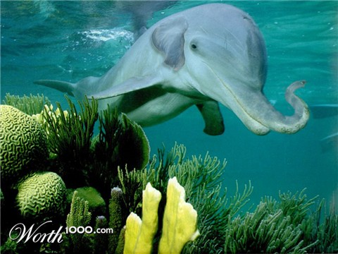 Photoshop Design by crazyhead