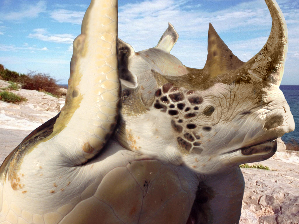 Photoshop Design by sk8rox for DesignCrowd (Community Contests) | Design #9082212