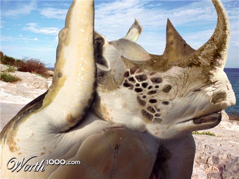 Photoshop Design by sk8rox