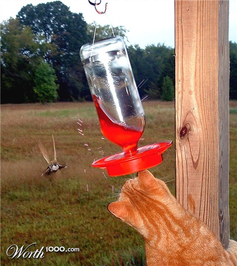 Photography by agbell