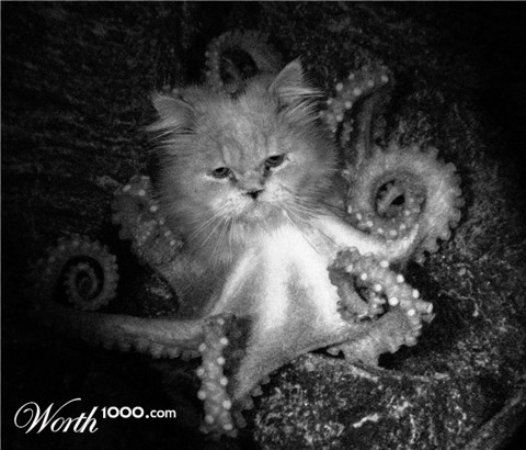 Photoshop Design by thehuntedcat