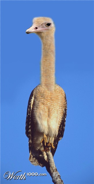 Photoshop Design by sundive-ken