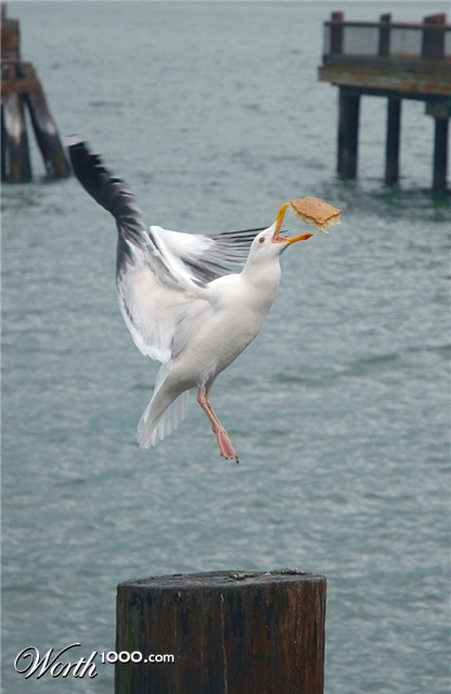 Photography by Snap