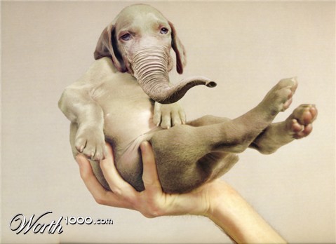 Photoshop Design by fotoshop