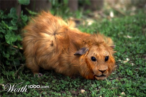 Photoshop Design by Uberwench