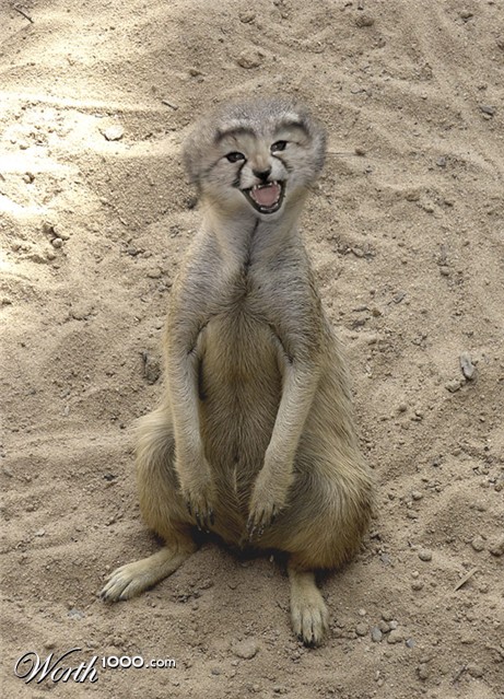 Photoshop Design by DannyHonx