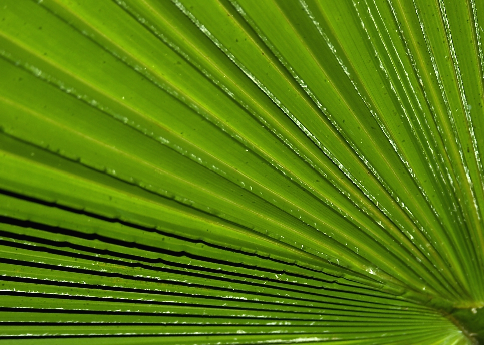 Photography by borbor for DesignCrowd (Community Contests) | Design #9092031